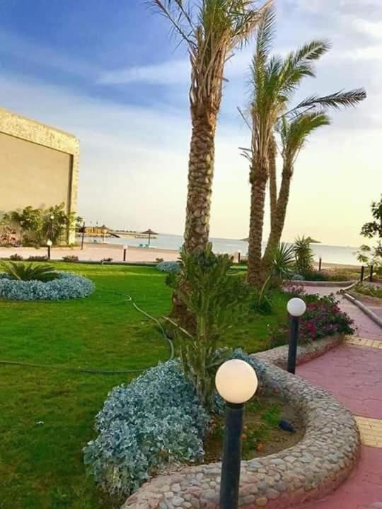 Apartmán سيسيليا اتش Hurghada